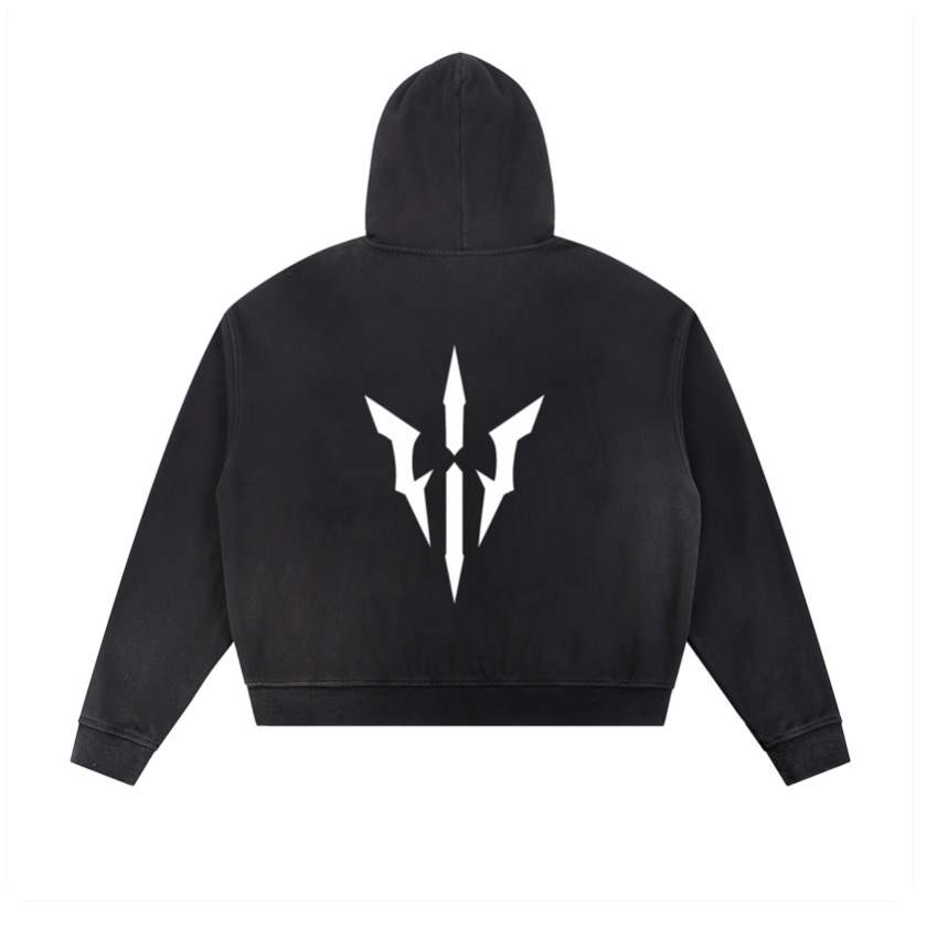 Distressed Zip Hoodie alternate